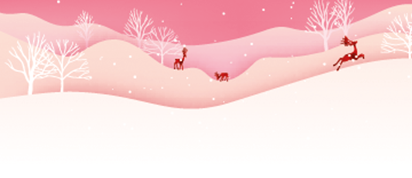 Weihnachtskampagnen mit Push – einige Ideen